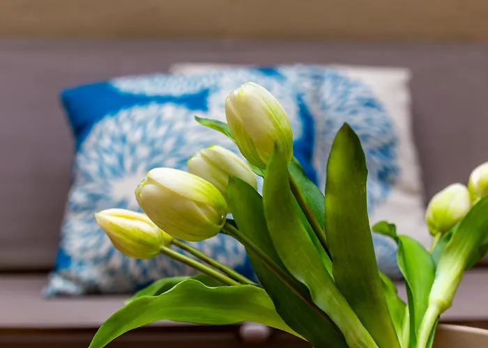 Iflat Wonderful In Monti Apartamento